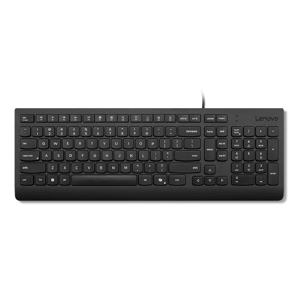 4Y41R64657 Lenovo Teclado con cable USB Essential color negro Español LA 171 4Y41R64657 - Imagen 1